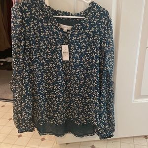 NWOT never worn women’s Loft dressy shirt! So cute and beautiful color!